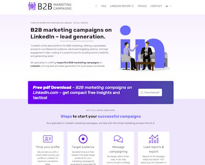 b2b-marketing-campaigns.com